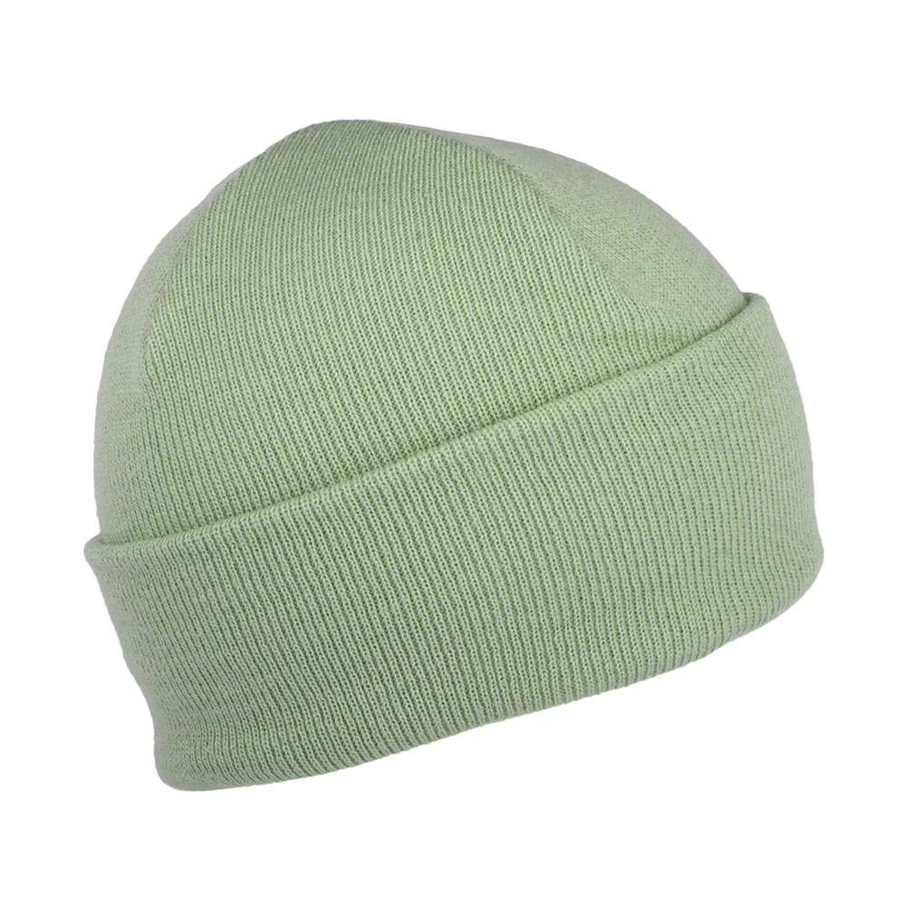 Carhartt WIP Chase Beanie Mütze mit Umschlag - Salbeigrün - Image 2