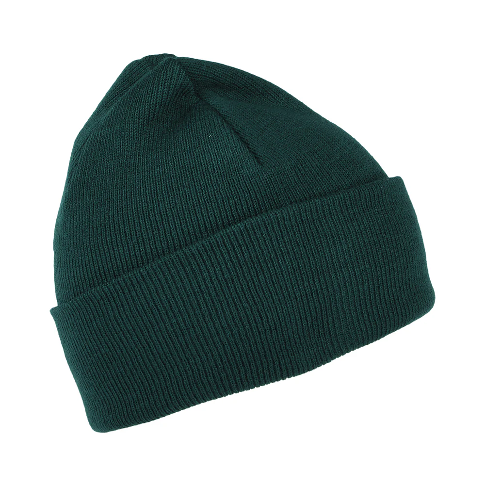 Carhartt WIP Chase Beanie Mütze mit Umschlag - Zypresse - Image 2