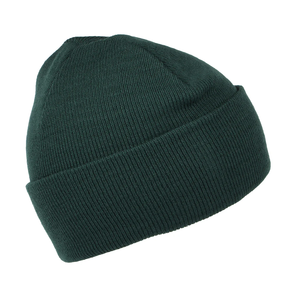 Carhartt WIP Chase Beanie Mütze mit Umschlag - Laubgrün - Image 2