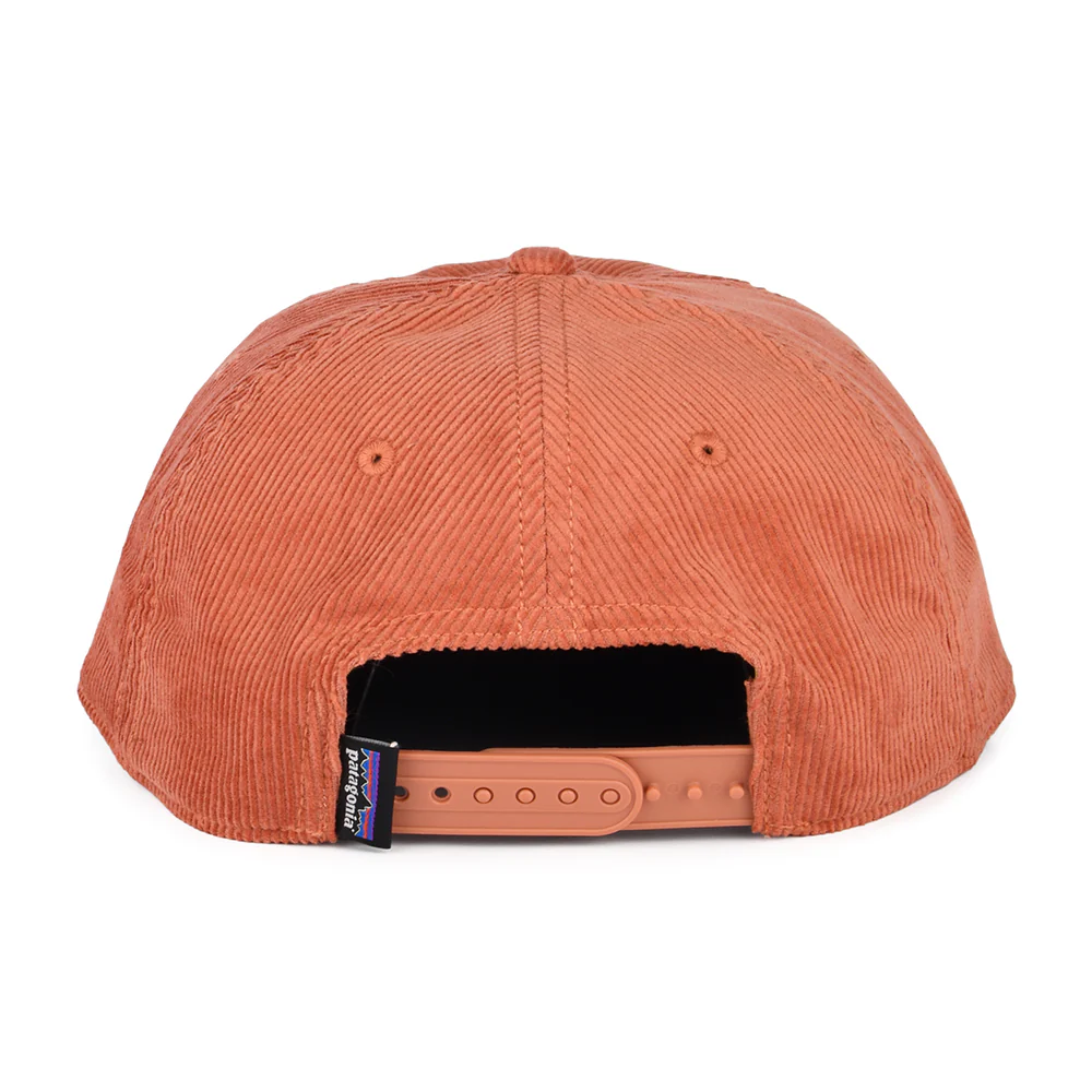 Patagonia 73 Skyline Kord Snapback Cap - Ton - Image 3