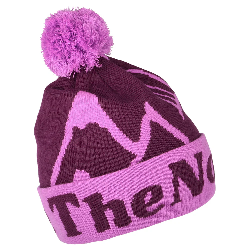 The North Face Kinder Ski Tuke Bommelmütze - Lila - Image 2